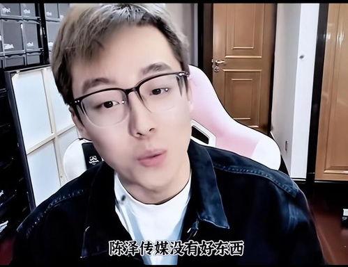 网红陈泽爆料视频在线观看,揭秘幕后真相，带你走进网红世界  第3张